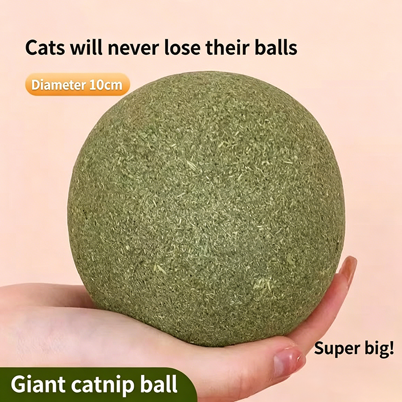 Organic Catnip Jar – 100% Natural Dried Catnip Leaves 20g