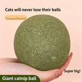 Organic Catnip Jar – 100% Natural Dried Catnip Leaves 20g