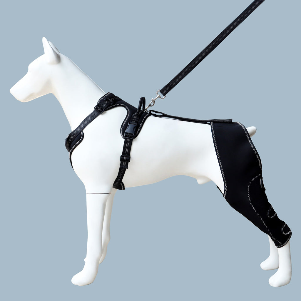 Dog Rear Leg Knee Brace – Adjustable Support with Integrated Leash