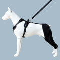 Dog Rear Leg Knee Brace – Adjustable Support with Integrated Leash