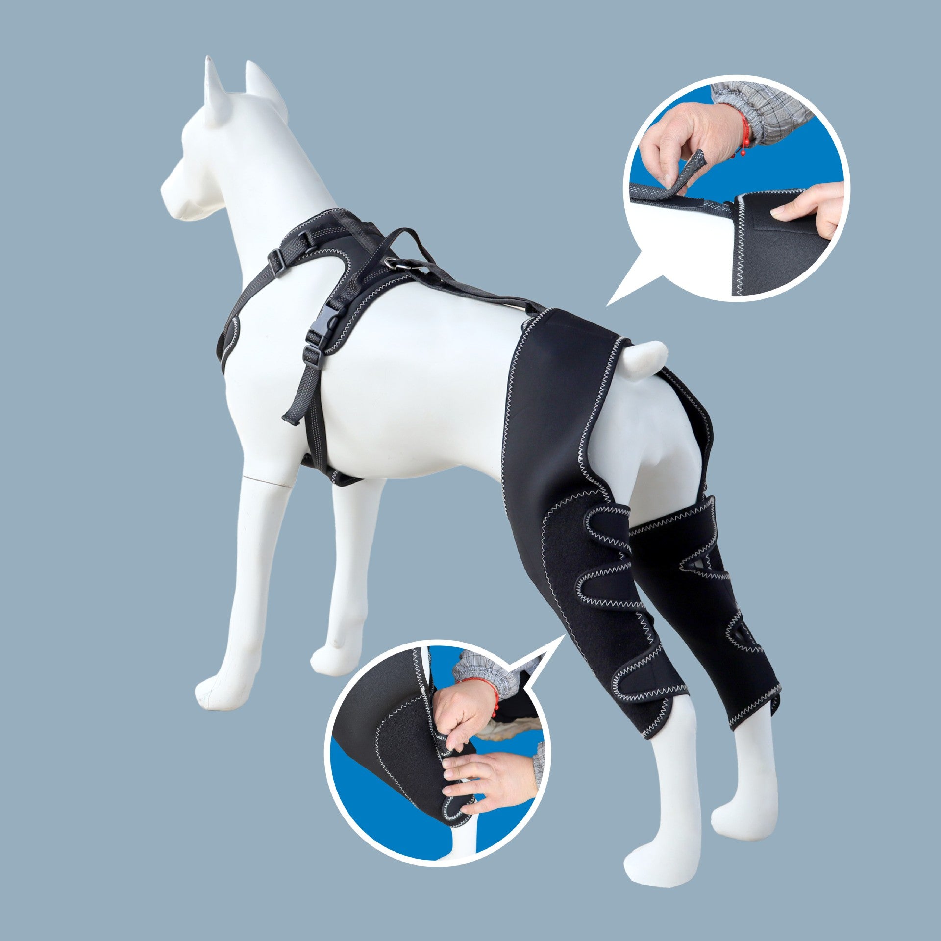 Dog Rear Leg Knee Brace – Adjustable Support with Integrated Leash