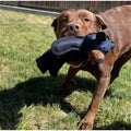 Unbreakable Extreme Bear Toy For Dogs Chewer Indestructible Plush Dog Squeaking Toy Durable Tough Heavy-duty Chew Dog Toys