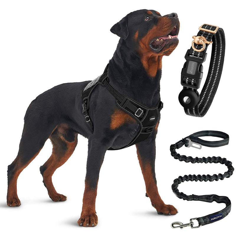No-Pull Reflective Dog Harness with Leash – All-Size Adjustable