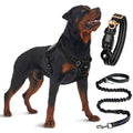 No-Pull Reflective Dog Harness with Leash – All-Size Adjustable